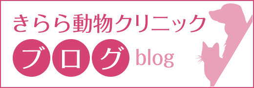 きらら動物クリニックブログ