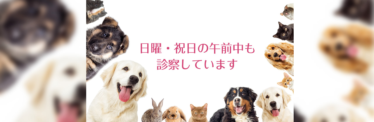 メイン画像1