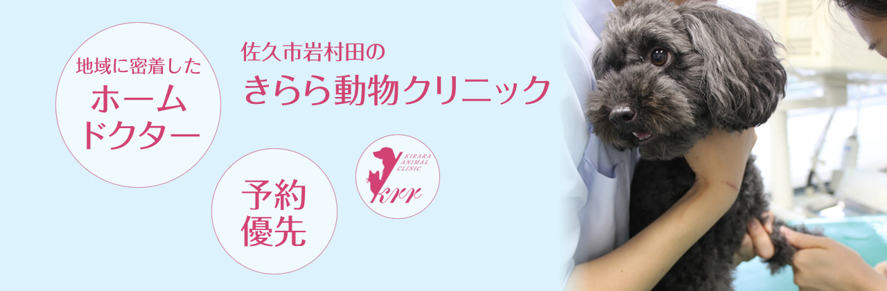 メイン画像3