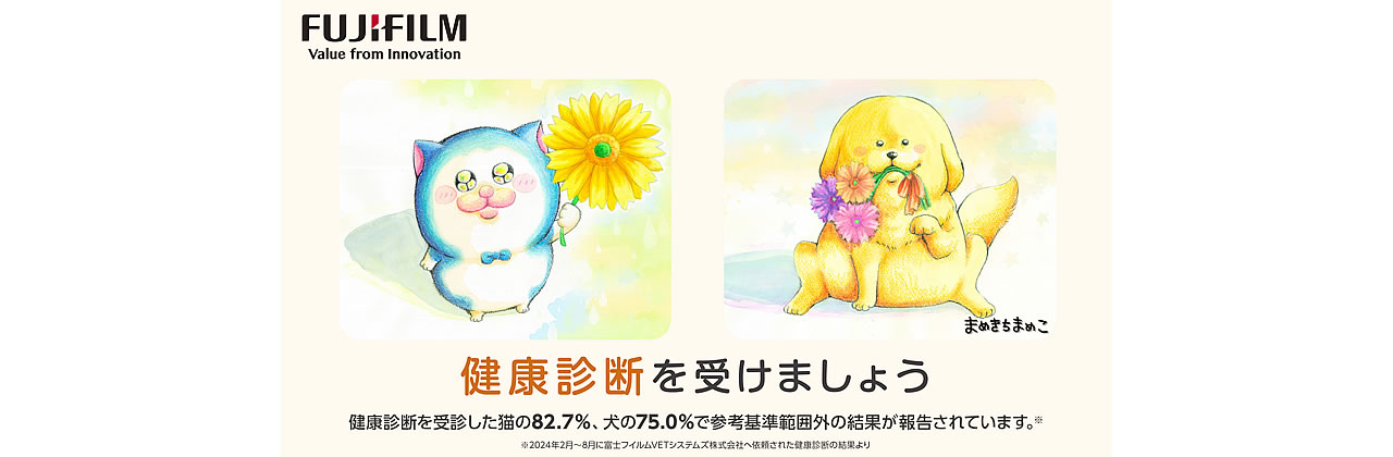 メイン画像3
